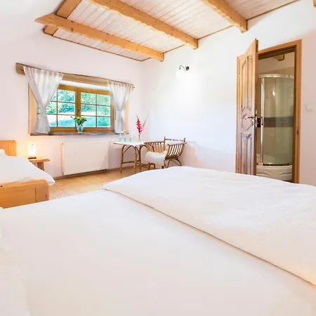 Bed and breakfast Pod Gora Karczmisko 3*